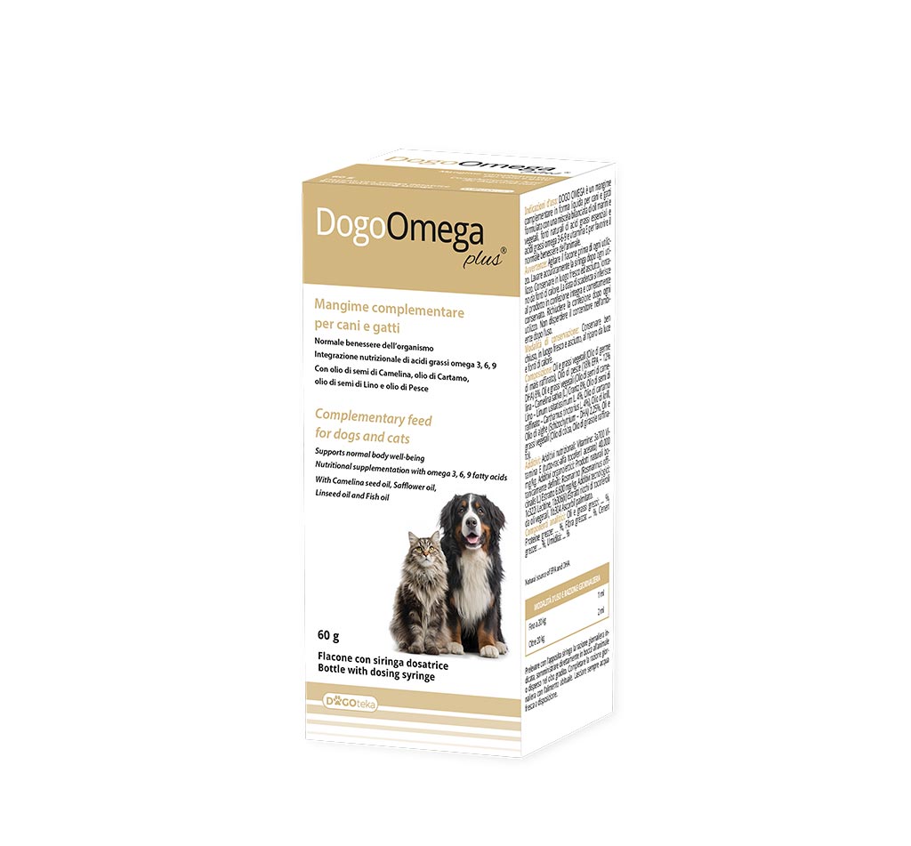 DogoOmega Plus